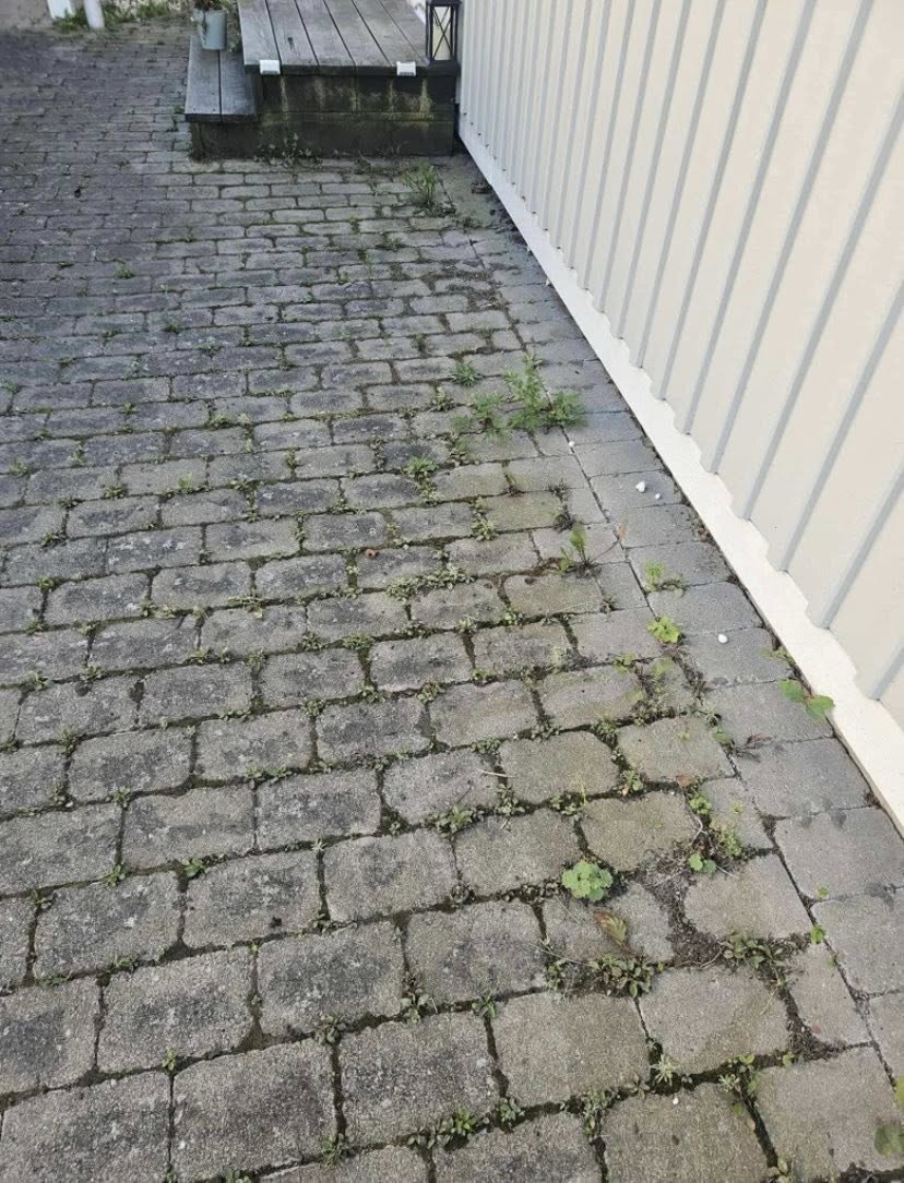 uppfart med ogräs
