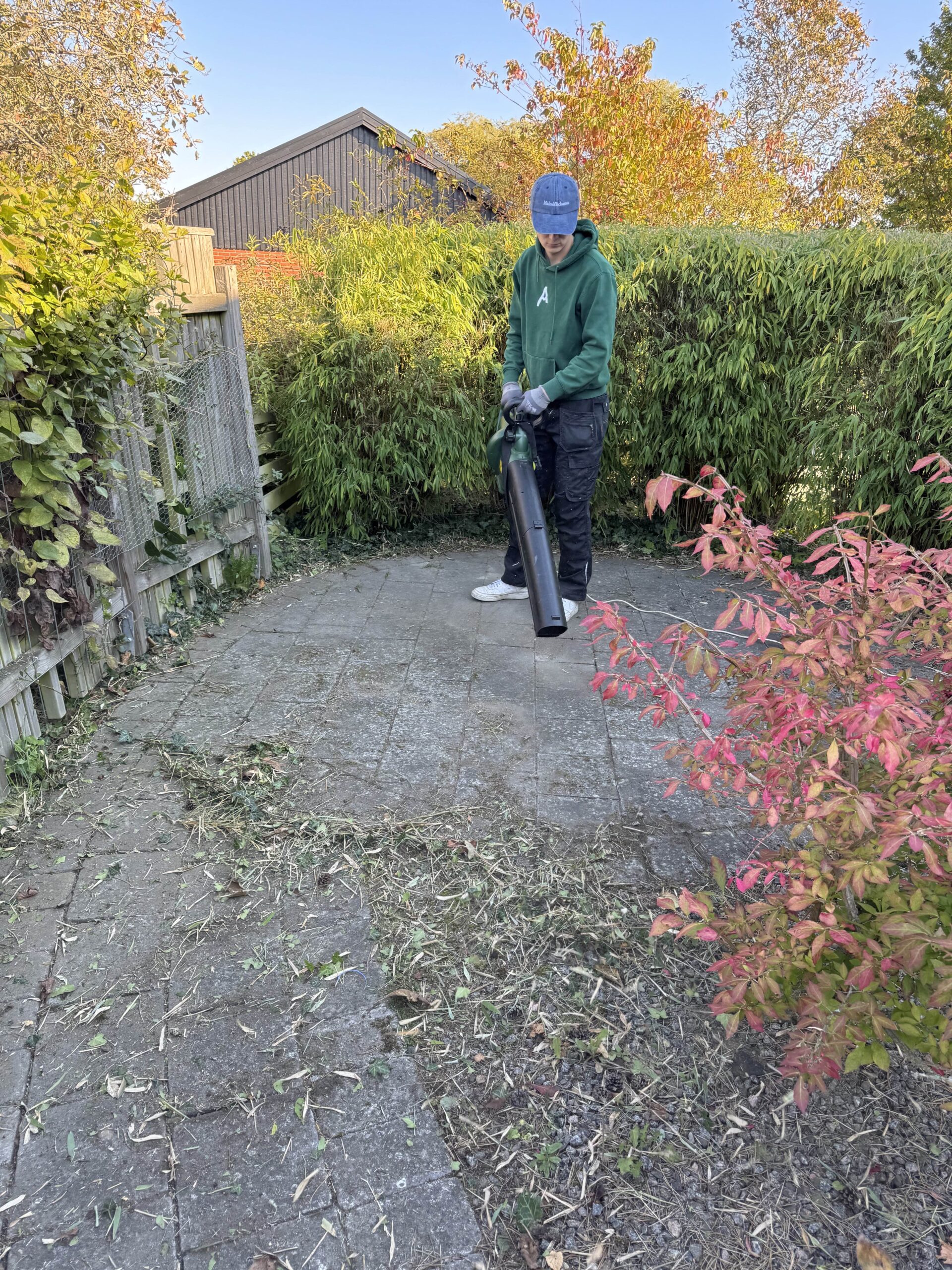 Lövblåsning