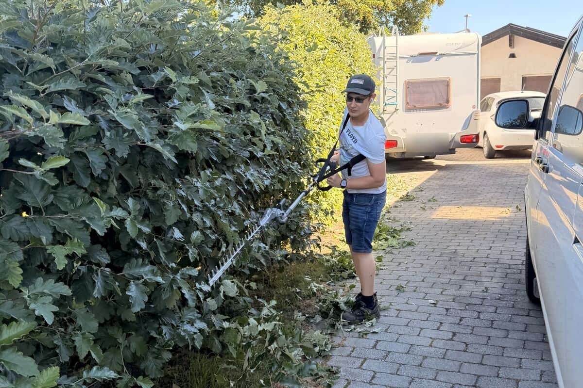 Rutly klipper en hög häck med stånghäcksax
