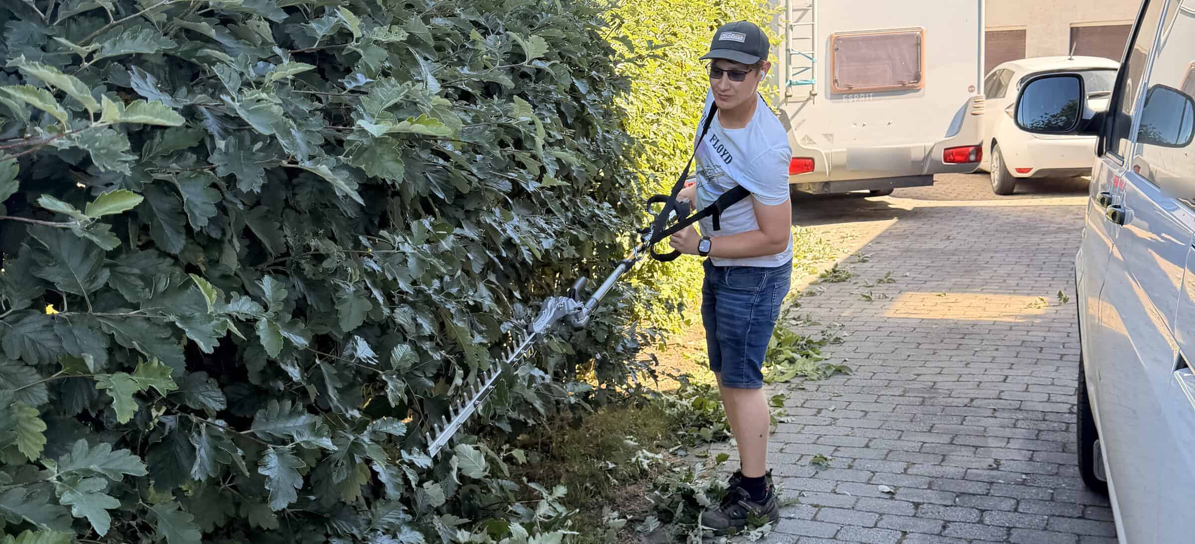 Rutly klipper en häck hos kund i Skåne