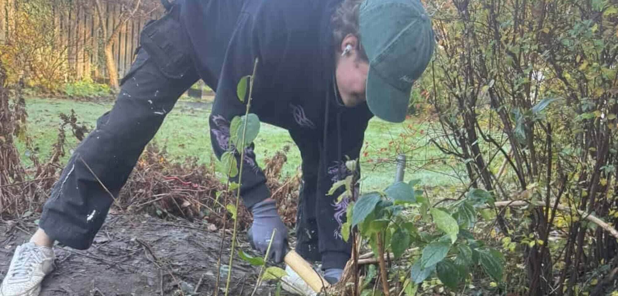 Rutly gräver upp rötter och sly vid en röjning
